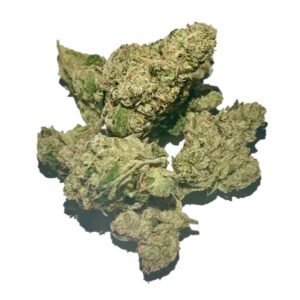 purple milk zkittles gorilla skittlez indica dominant hybrid diablo og sativa dominant hybrid marijuana cannabis flower bud zaza za loud pack bud smoke fire exotic exotics high dc delivery dc weed delivery md maryland va virginia washington dc gift shop gifts donation donations thc 420 dc dispensary near me weed near me loud alexandria fairfax annandale arlington falls church oxon hill national harbor temple hills md maryland gift weed shop zikigai