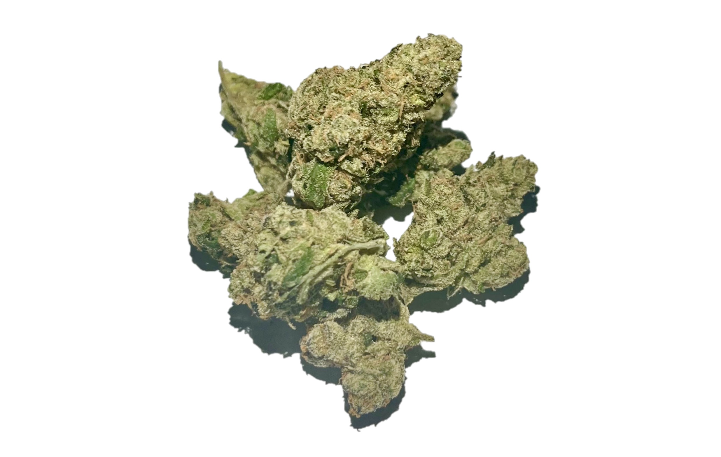 purple milk zkittles gorilla skittlez indica dominant hybrid diablo og sativa dominant hybrid marijuana cannabis flower bud zaza za loud pack bud smoke fire exotic exotics high dc delivery dc weed delivery md maryland va virginia washington dc gift shop gifts donation donations thc 420 dc dispensary near me weed near me loud alexandria fairfax annandale arlington falls church oxon hill national harbor temple hills md maryland gift weed shop zikigai